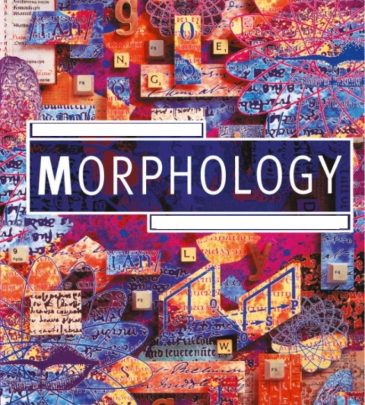 morphology